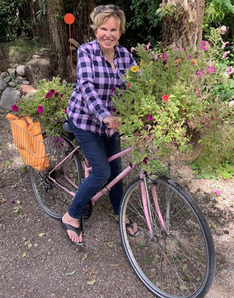 Author Denice Reich to talk about how growing up in Aspen made her stronger - Vimarsana News